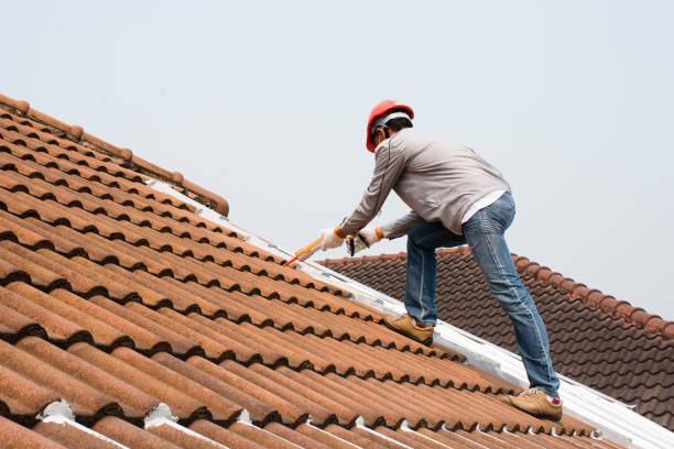 Fast & Reliable Emergency Roof Repairs in Lake City, SC