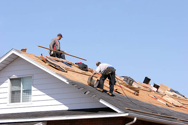 Best Skylight Installation and Repair  in Lake City, SC